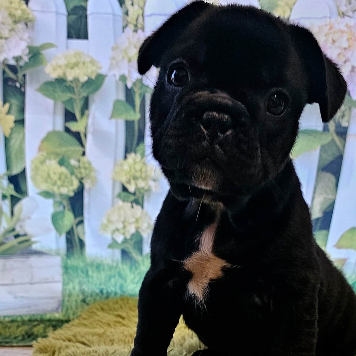 Tyson