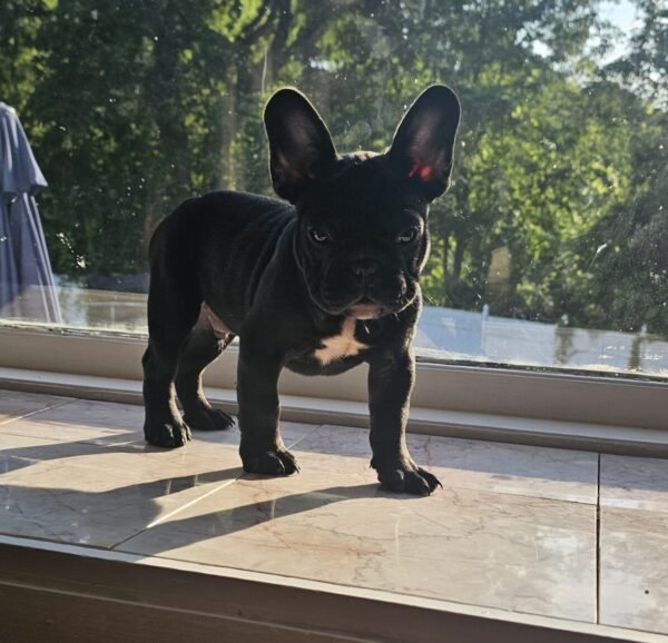 Tyson