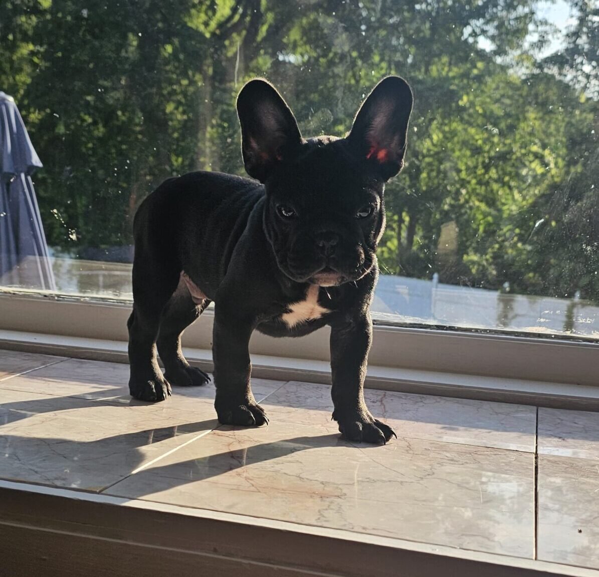 Tyson